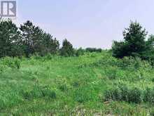 121 ROBERTSON AVENUE | Meaford Ontario | Slide Image Five