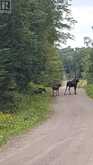 264 BOY SCOUTS ROAD | Magnetawan Ontario | Slide Image Thirty-two