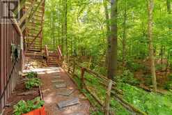 869 MUSKOKA ROAD 10 | Huntsville Ontario | Slide Image Seven