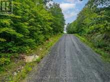 0 SPRING HILL ROAD | Carling Ontario | Slide Image Five