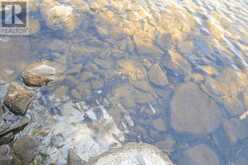 TBD SPRUCE LAKE TRAIL | Haliburton Ontario | Slide Image Ten