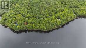 TBD SPRUCE LAKE TRAIL | Haliburton Ontario | Slide Image Eleven