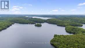 TBD SPRUCE LAKE TRAIL | Haliburton Ontario | Slide Image Sixteen