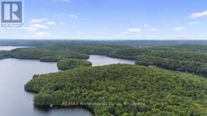 TBD SPRUCE LAKE TRAIL | Haliburton Ontario | Slide Image Seventeen