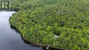 TBD SPRUCE LAKE TRAIL | Haliburton Ontario | Slide Image Eighteen