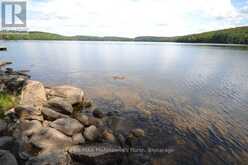 TBD SPRUCE LAKE TRAIL | Haliburton Ontario | Slide Image One