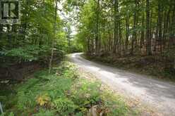 TBD SPRUCE LAKE TRAIL | Haliburton Ontario | Slide Image Three