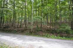 TBD SPRUCE LAKE TRAIL | Haliburton Ontario | Slide Image Four