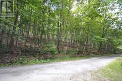 TBD SPRUCE LAKE TRAIL | Haliburton Ontario | Slide Image Five