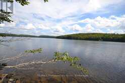 TBD SPRUCE LAKE TRAIL | Haliburton Ontario | Slide Image Six