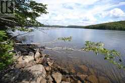 TBD SPRUCE LAKE TRAIL | Haliburton Ontario | Slide Image Eight
