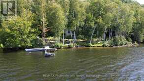 PT LT 12-13 CON 2 BAPTISTE LAKE WAO | Bancroft Ontario | Slide Image One