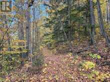 PT LT 12-13 CON 2 BAPTISTE LAKE WAO | Bancroft Ontario | Slide Image Twenty