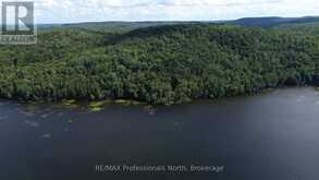 PT LT 12-13 CON 2 BAPTISTE LAKE WAO | Bancroft Ontario | Slide Image Thirty-four