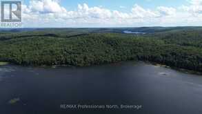 PT LT 12-13 CON 2 BAPTISTE LAKE WAO | Bancroft Ontario | Slide Image Thirty-five