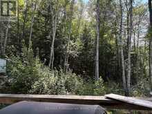 PT LT 12-13 CON 2 BAPTISTE LAKE WAO | Bancroft Ontario | Slide Image Six