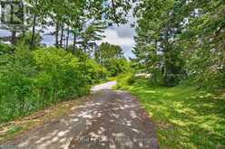 47 FERGUSON ROAD | Huntsville Ontario | Slide Image Thirty-seven