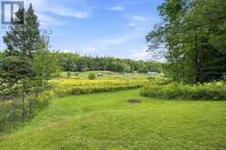 1110 GOLDEN BEACH ROAD | Bracebridge Ontario | Slide Image Thirty-eight