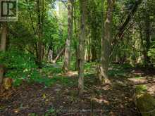 145839 GREY ROAD 12 | Meaford Ontario | Slide Image Forty-six
