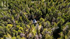 LT 191 PL 433 DORCAS BAY ROAD | Tobermory Ontario | Slide Image Twenty