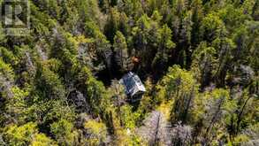 LT 191 PL 433 DORCAS BAY ROAD | Tobermory Ontario | Slide Image Twenty-one