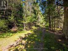 LT 191 PL 433 DORCAS BAY ROAD | Tobermory Ontario | Slide Image Twenty-seven