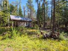 LT 191 PL 433 DORCAS BAY ROAD | Tobermory Ontario | Slide Image Thirty