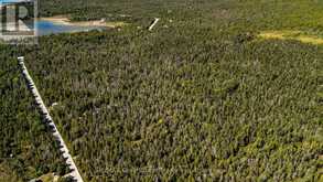LT 191 PL 433 DORCAS BAY ROAD | Tobermory Ontario | Slide Image Nine