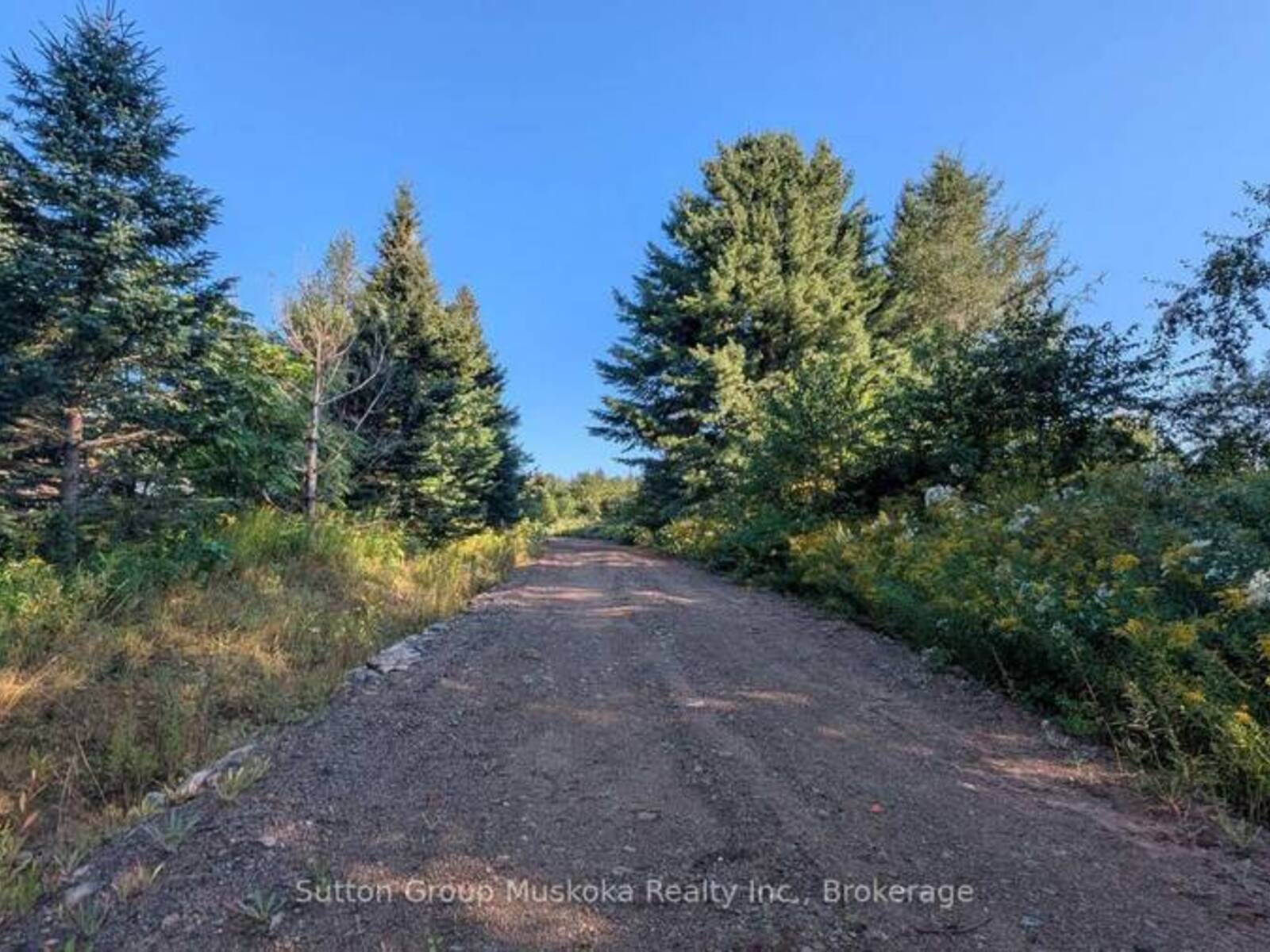 00 SAVAGE SETTLEMENT ROAD, Emsdale, Ontario P0A 1R0