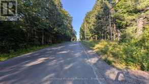 00 SAVAGE SETTLEMENT ROAD | Emsdale Ontario | Slide Image Five