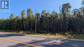 PART 2 BERRIEDALE ROAD | Magnetawan Ontario | Slide Image Two