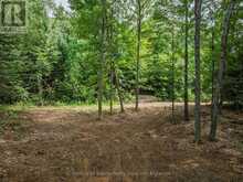 1241 KOSHLONG LAKE ROAD | Haliburton Ontario | Slide Image Ten