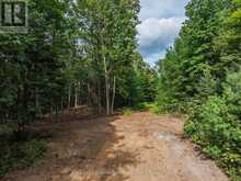 1241 KOSHLONG LAKE ROAD | Haliburton Ontario | Slide Image Eleven