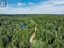 1241 KOSHLONG LAKE ROAD | Haliburton Ontario | Slide Image Twelve