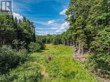 1241 KOSHLONG LAKE ROAD | Haliburton Ontario | Slide Image Twenty-one
