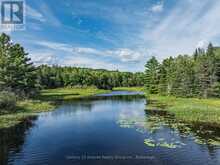 1241 KOSHLONG LAKE ROAD | Haliburton Ontario | Slide Image Three