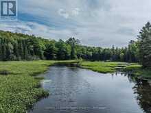 1241 KOSHLONG LAKE ROAD | Haliburton Ontario | Slide Image Four