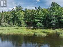 1241 KOSHLONG LAKE ROAD | Haliburton Ontario | Slide Image Five