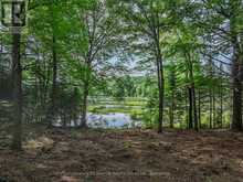 1241 KOSHLONG LAKE ROAD | Haliburton Ontario | Slide Image Seven