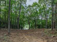 1241 KOSHLONG LAKE ROAD | Haliburton Ontario | Slide Image Eight