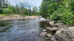 1241 KOSHLONG LAKE ROAD | Haliburton Ontario | Slide Image Eighteen