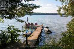 23 FIRE ROUTE 35 | North Kawartha Ontario | Slide Image Two