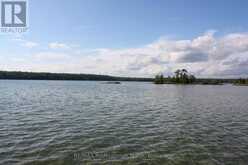 23 FIRE ROUTE 35 | North Kawartha Ontario | Slide Image Thirty