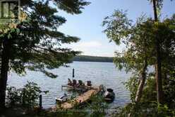 23 FIRE ROUTE 35 | North Kawartha Ontario | Slide Image Thirty-six