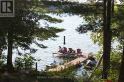 23 FIRE ROUTE 35 | North Kawartha Ontario | Slide Image Thirty-seven