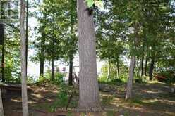 23 FIRE ROUTE 35 | North Kawartha Ontario | Slide Image Thirty-nine