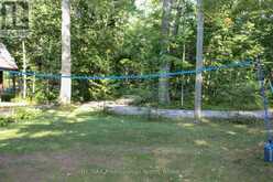 23 FIRE ROUTE 35 | North Kawartha Ontario | Slide Image Forty-one