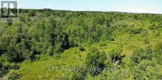 150 LINDSAY ROAD 40 | Miller Lake Ontario | Slide Image Five