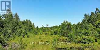 150 LINDSAY ROAD 40 | Miller Lake Ontario | Slide Image Six