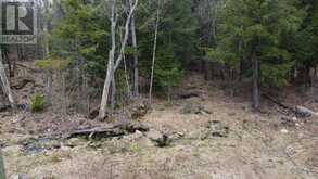 4 WEE GEE WA ROAD | Seguin Ontario | Slide Image Seventeen